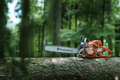 Chainsaw & Forestry