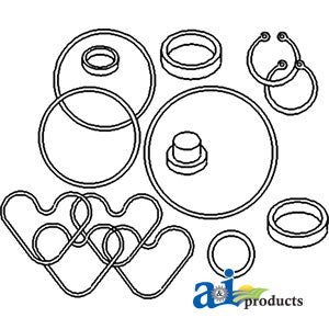 A-1810839M92 Seal Kit, Power Steering Pump PN: 1810839M92