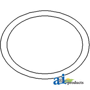 A-1860838M1 O-Ring, Rear Axle Housing Carrier Plate PN: 1860838M1