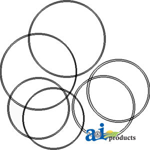 A-539535R91 Brake O-Ring Kit, Brake Piston & Differential Bearing Carrier PN: 539535R91