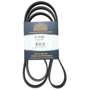 A-810K8 Micro-Rib V-Belt (81