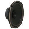 A-RE254829 Speaker, 6