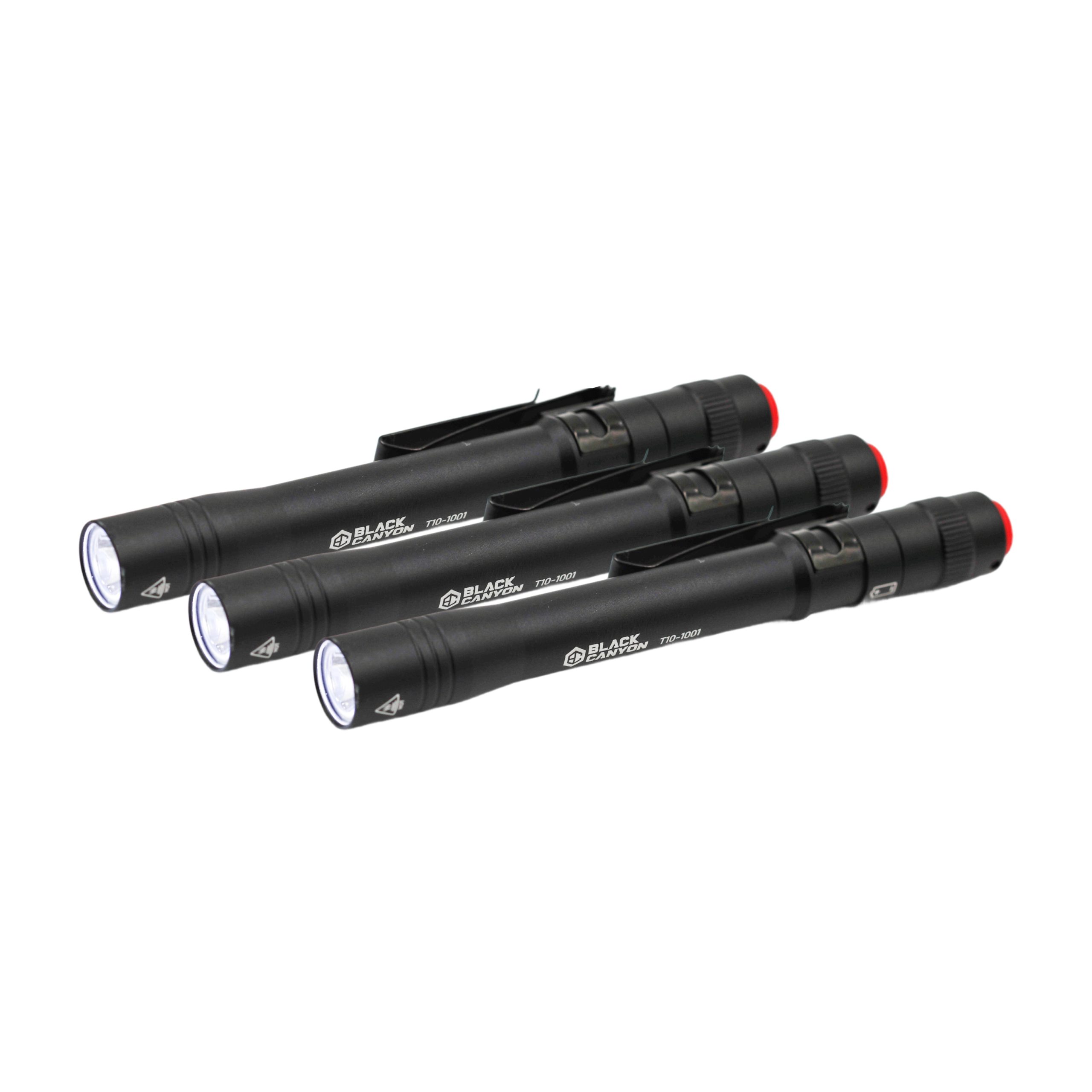 3-Piece LED Penlight Set